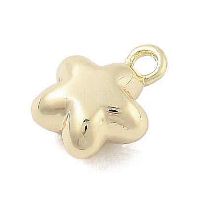 Brass Charms KK-S514-06B-G-1