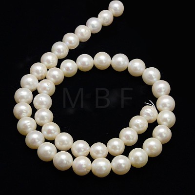 Natural Cultured Freshwater Pearl Beads Strands PEAR-L001-I-13-1