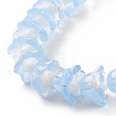 Transparent Glass Beads Strands LAMP-H061-01C-09-1