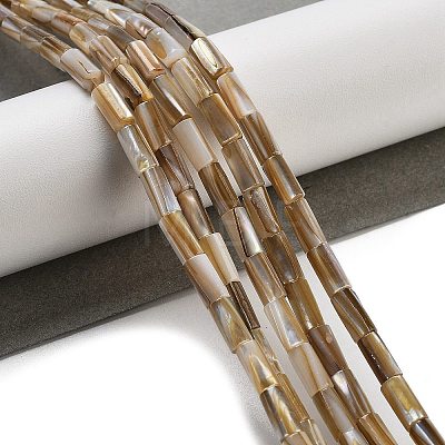 Natural Freshwater Shell Beads Strands BSHE-G038-02-1