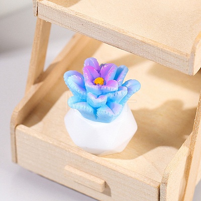 Resin Succulent Pot Model PW-WG83534-02-1