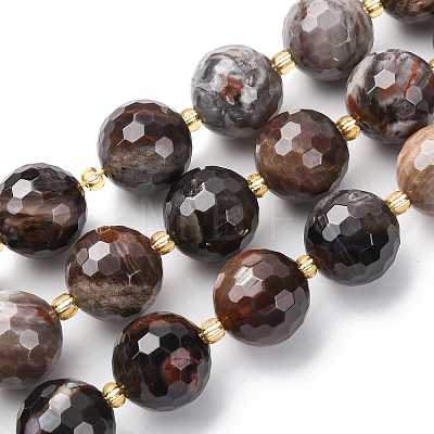 Natural Petrified Wood Beads Strands G-C249-A24-16MM-1