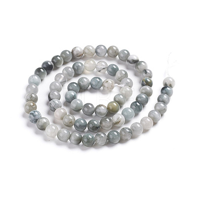 Natural Eagle Eye Beads Strands G-I281-02-6mm-1