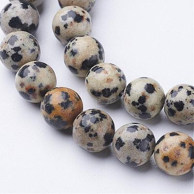 Natural Dalmatian Jasper Beads Strands GSR004-1