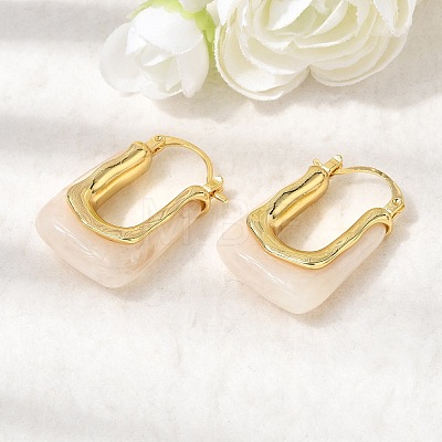 Brass Resin Hoop Earrings EJEW-P333-11B-G01-1