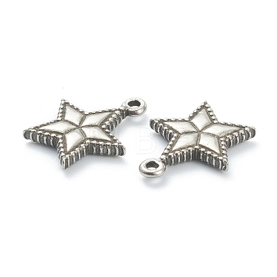 304 Stainless Steel Charms STAS-P279-47P-1