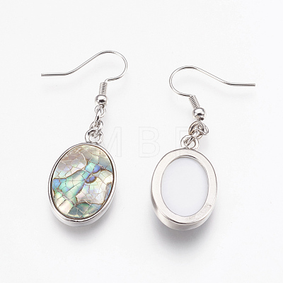 Natural Paua Shell  Dangle Earrings EJEW-F162-B02-1