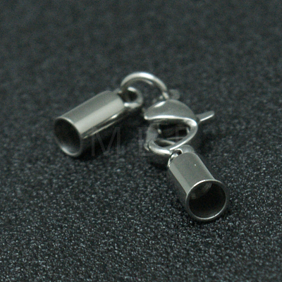 Tarnish Resistant 304 Stainless Steel Lobster Claw Clasps STAS-I045-45-1