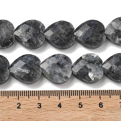 Natural Larvikite Beads Strands G-A309-A18-01-1