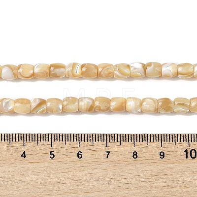 Natural Trochid Shell/Trochus Shell Beads Strands BSHE-H018-01-1