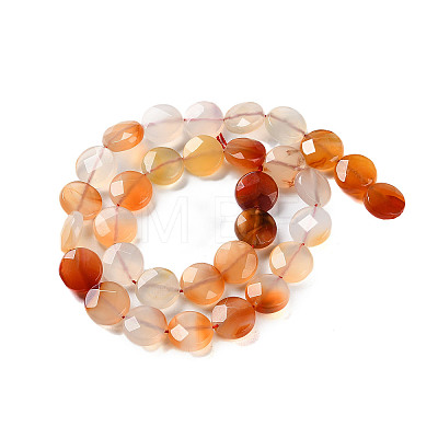 Natural Agate Beads Strands G-H024-A01-02-1