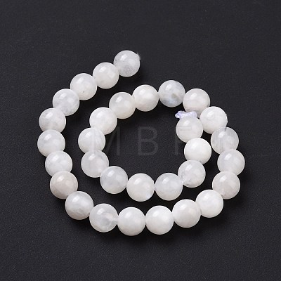 Natural Moonstone Round Beads Strands G-P088-57-10mm-1