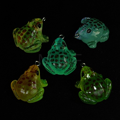 Luminous Transparent Resin Pendants RESI-F077-01P-1