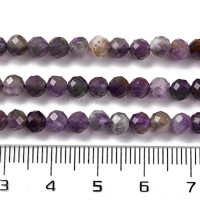 Natural Amethyst Beads Strands G-L581A-001B-1