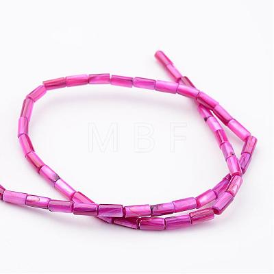 Natural Shell Bead Strands BSHE-P016-09-1