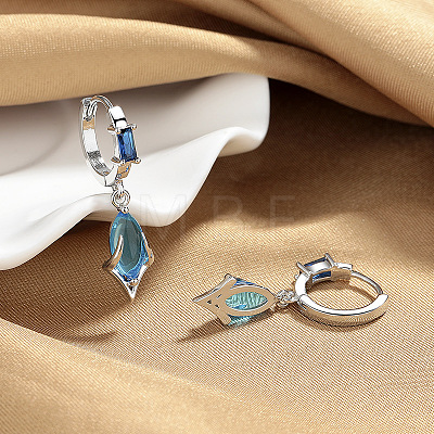 Brass Cubic Zirconia Hoop Earrings WGB9845-01-1