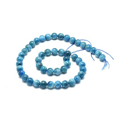 Natural Apatite Beads Strands G-F674-04-8mm-1