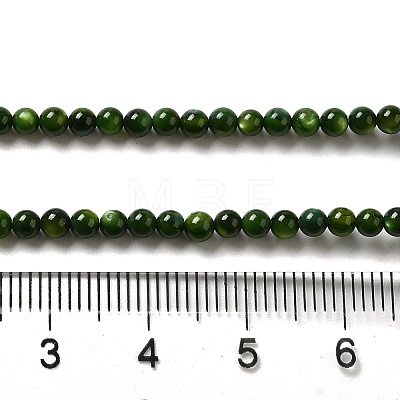 Natural Freshwater Shell Beads Strands SHEL-H003-03A-1