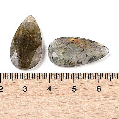 Natural Labradorite Pendants G-M440-01F-1