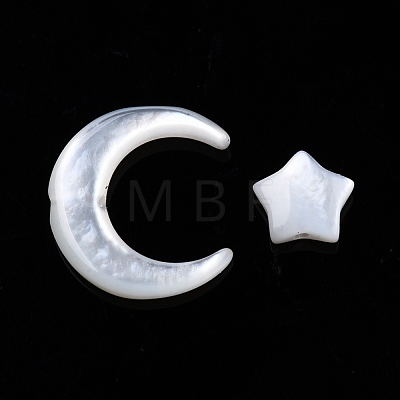 Natural Natural White Shell Beads Sets SSHEL-N032-52A-01-1