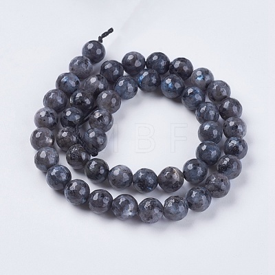 Natural Larvikite Beads Strands G-G542-8mm-27-1