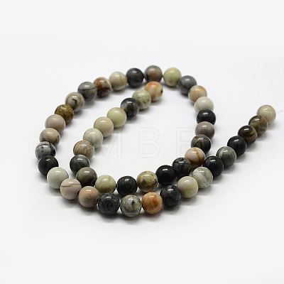 Natural Polychrome Jasper/Picasso Stone/Picasso Jasper Bead Strands G-G667-01-8mm-1