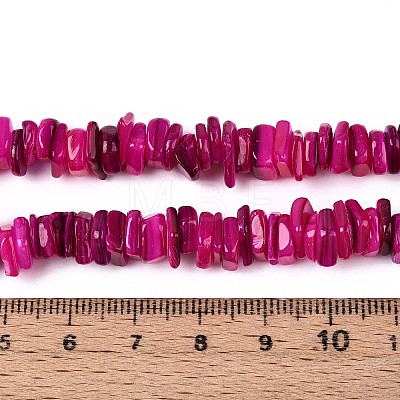 Natural Freshwater Shell Beads Strands SHEL-T020-40A-1