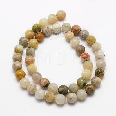 Natural Bamboo Leaf Agate Beads Strands G-K194-4mm-01-1