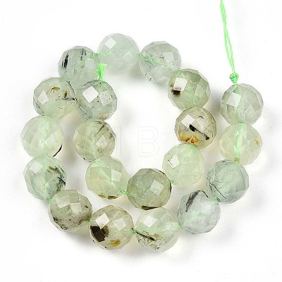 Natural Prehnite Beads Strands G-S345-10mm-28-1