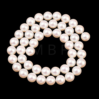Electroplated Shell Pearl Beads Strands BSHE-C011-01B-1
