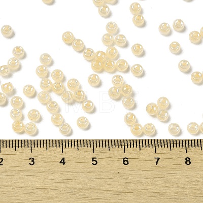 Glass Seed Beads SEED-H002-H-1308-1