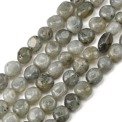 Natural Labradorite Beads Strands G-P623-A03-02-1