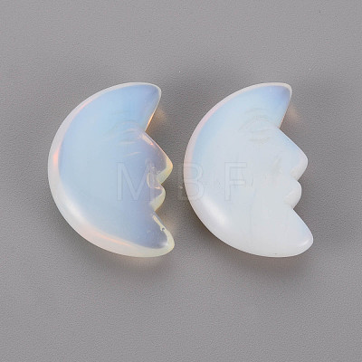 Opalite Beads G-T132-033-1