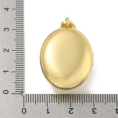 Brass Cubic Zirconia Locket Pendants KK-N254-93C-G-1