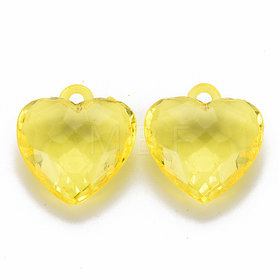 Transparent Acrylic Pendants TACR-T024-03B-916-1