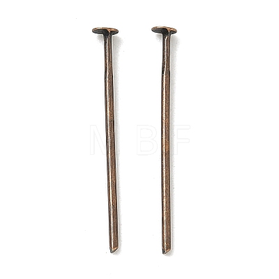 Iron Flat Head Pins X-HPR2.2cm-NF-1