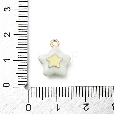 Alloy Enamel Charms ENAM-E362-08E-1