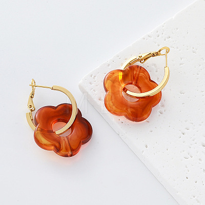 304 Stainless Steel Resin Hoop Dangle Earrings for Women QH5612-3-1