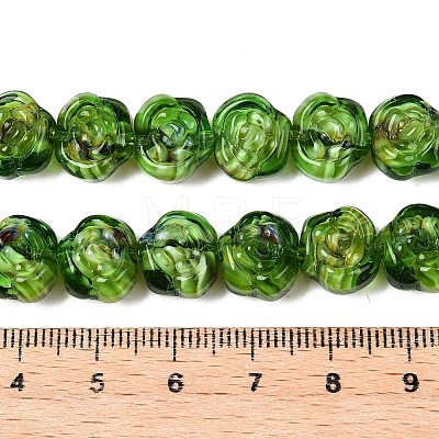 Handmade Lampwork Beads Strands LAMP-T021-26G-1