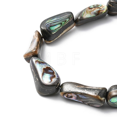 Natural Paua Shell Beads Strands SHEL-F006-01-1