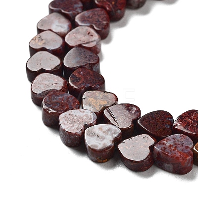 Natural Red Ocean Agate Beads Strands G-G084-B11-01-1