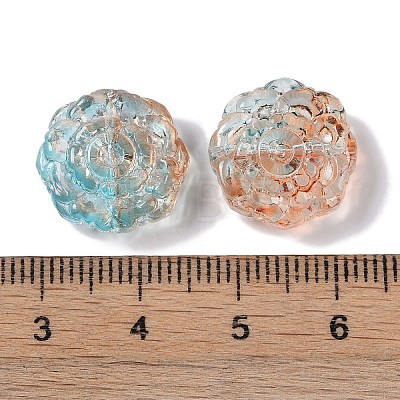 Painted Glass Beads GLAA-S202-14-1