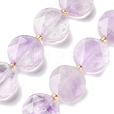 Natural Ametrine Beads Strands G-C116-A163-03-1