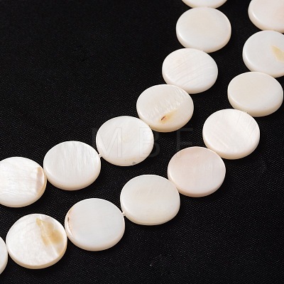 Natural White Shell Beads Strands PBB251Y-2-1