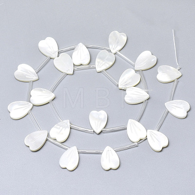Natural White Shell Mother of Pearl Shell Charms SSHEL-N036-024-1