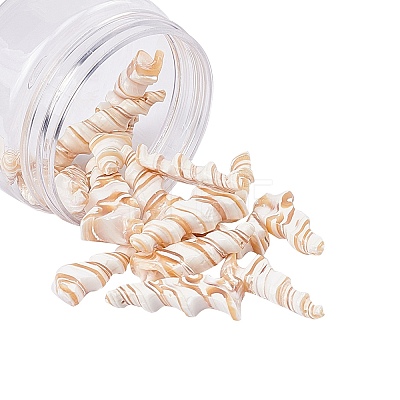 Natural Trochid Shell/Trochus Shell Beads SSHEL-NB0001-20-1-1