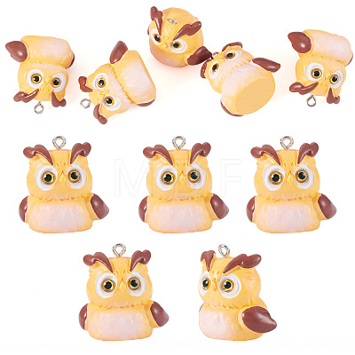 5Pcs Opaque Resin Pendants RESI-TADJ0001-26C-1