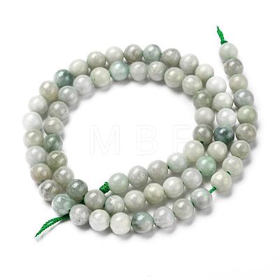 Natural Jadeite Beads Strands G-L568-001D-1