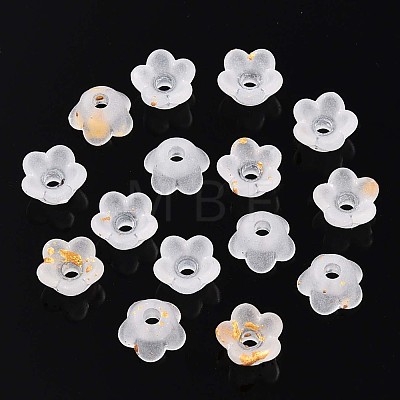 Frosted Transparent Acrylic Beads OACR-N137-72A-1