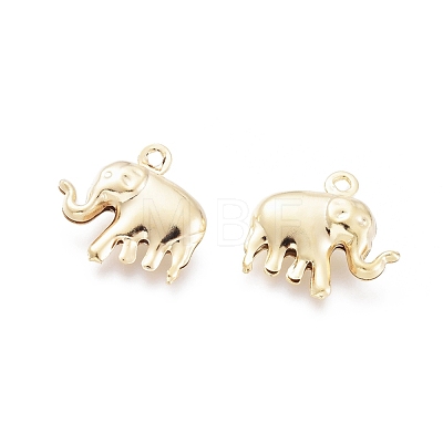 304 Stainless Steel Charms X-STAS-H413-13G-1